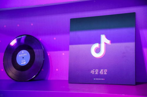 抖音官网探索音乐创意世界——百度带你启程