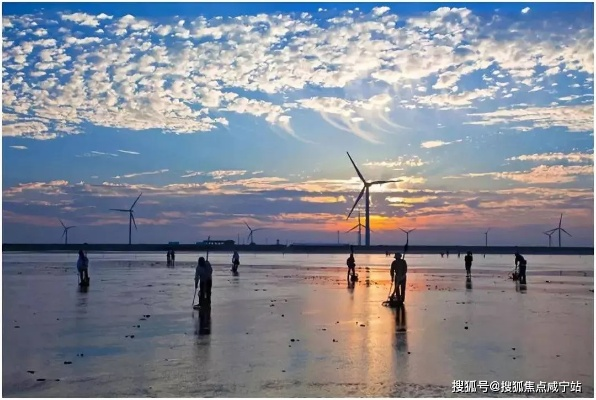 启东东滩生态发展揭秘，新篇章下的绿色崛起