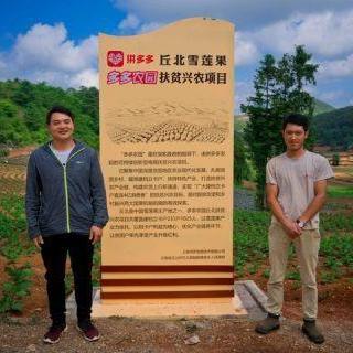 文山土豆产业蓬勃发展揭秘，新闻头条聚焦土豆产业动态