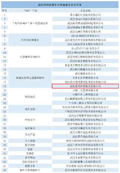 武汉科技公司排名榜单及联系方式权威解析