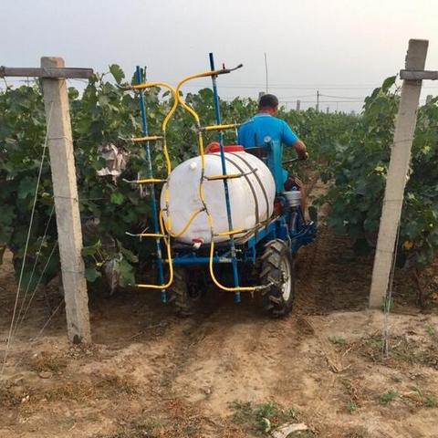 中国农用农机行业巨头榜单揭晓，公司排名及未来趋势展望