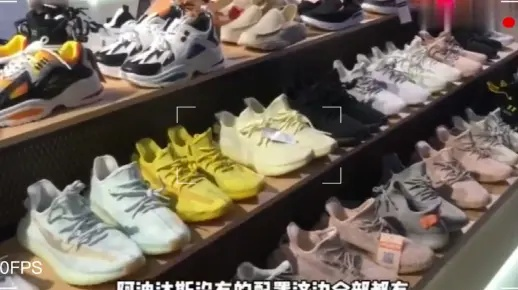 网红鞋店打假行动揭秘，最新视频大全，探寻真相与背后行动