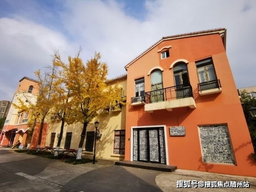 东北小红豆行情走势，最新市场分析解读