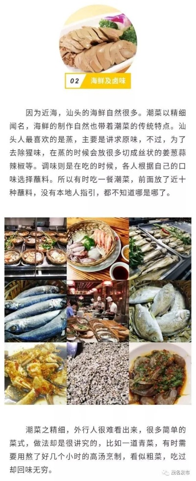 「盛世美食之旅，独家食谱攻略，深度领略中华美食魅力」