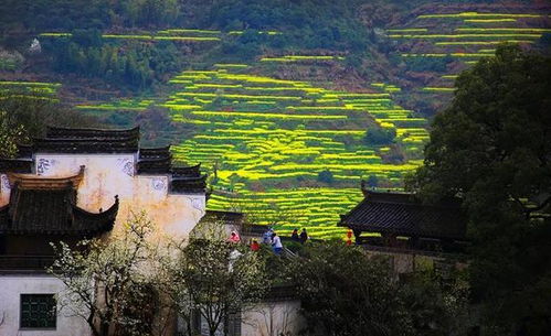 江西婺源八月游玩指南