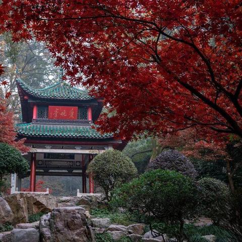 揭秘长沙，全方位旅游攻略指南