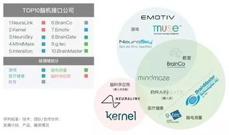 世界排名深度解析，含义、影响力与背后的意义探究
