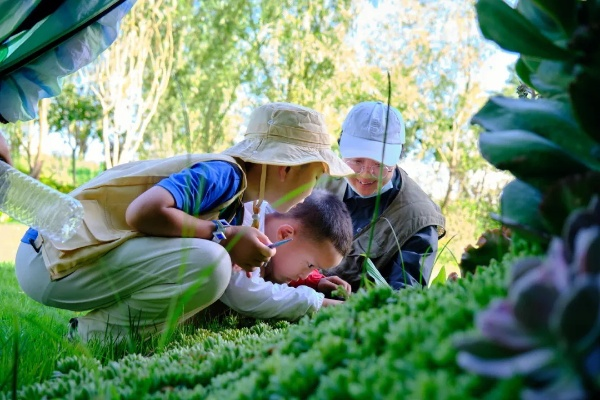 揭秘百度幼片背后的故事，探索未知的秘密之旅！