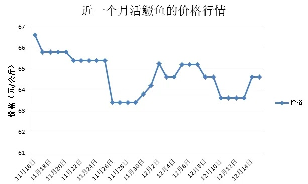 常州活鱼最新价格揭秘，市场走势解析与影响因素探讨