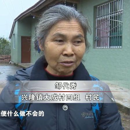 安岳兴隆镇崭新面貌与发展动态揭秘，新闻头条带你探寻兴隆新风采