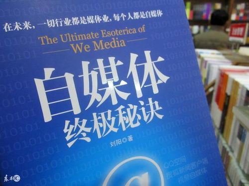 揭秘百度下的世婚txt，深度解读背后的故事与启示