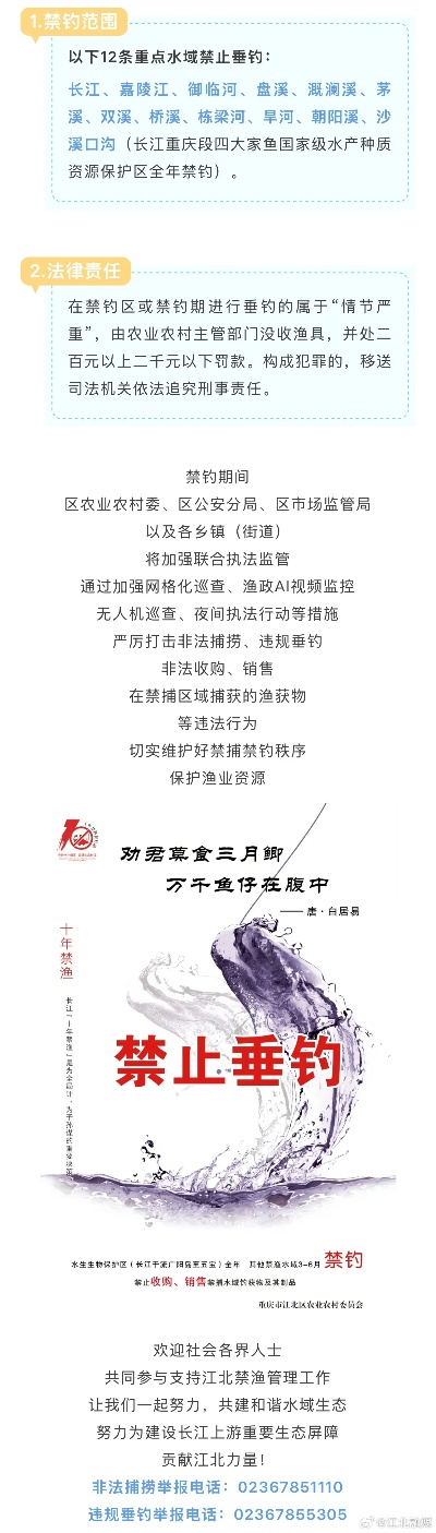 城西大桥垂钓政策解读，最新钓鱼规定揭秘！