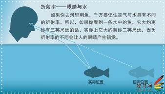 今日最新探索，排列规律的奥秘揭秘