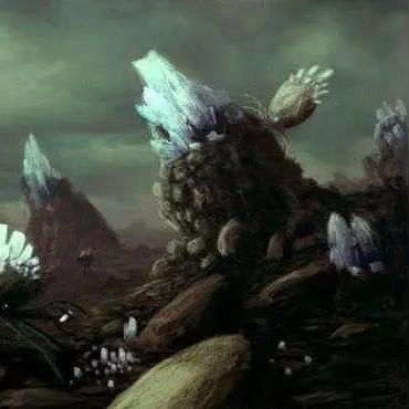 揭秘地球生命的两大循环系统，碳循环与氧循环的神秘面纱