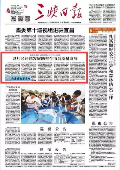 今日青田新闻热点速递，时事聚焦与地方发展动力传递