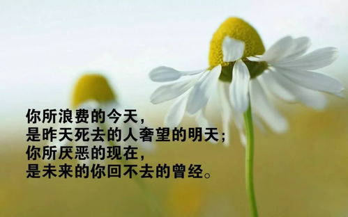 励志短句与坚强语录，图片背后的力量，激励你前行！