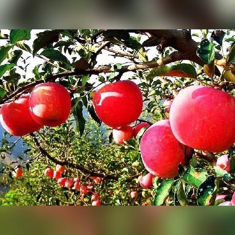 柳河旅游必玩攻略指南