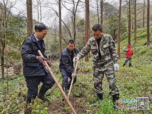 贵溪冷水林场最新动态，新闻头条速递