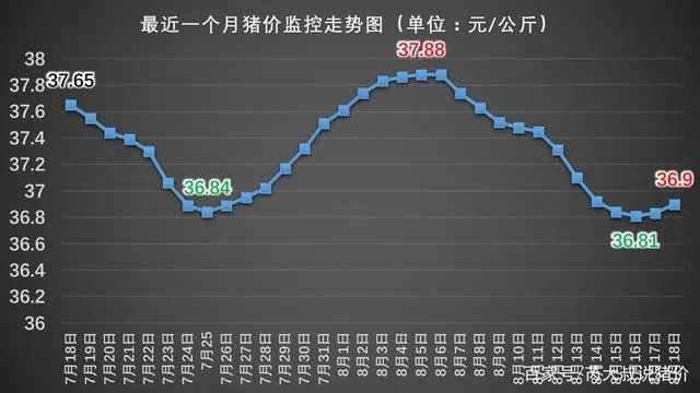 今日名山猪价走势，最新报价表，洞悉市场趋势，预测未来动态