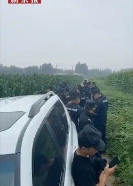 沧州女孩挟持事件最新进展与深度观察，视频揭示最新动态