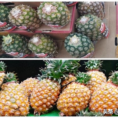 湛江自动化厕所公司排名揭晓，行业领军者解读