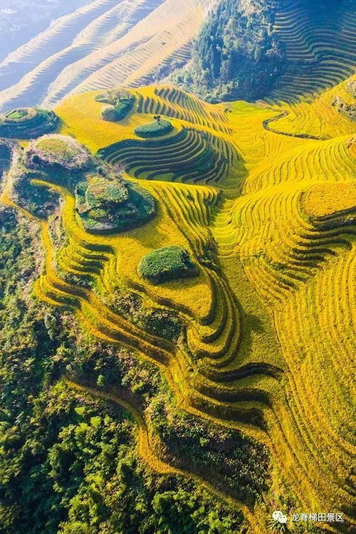 广州梯田探索之旅，绝美风光一览无遗的旅游攻略