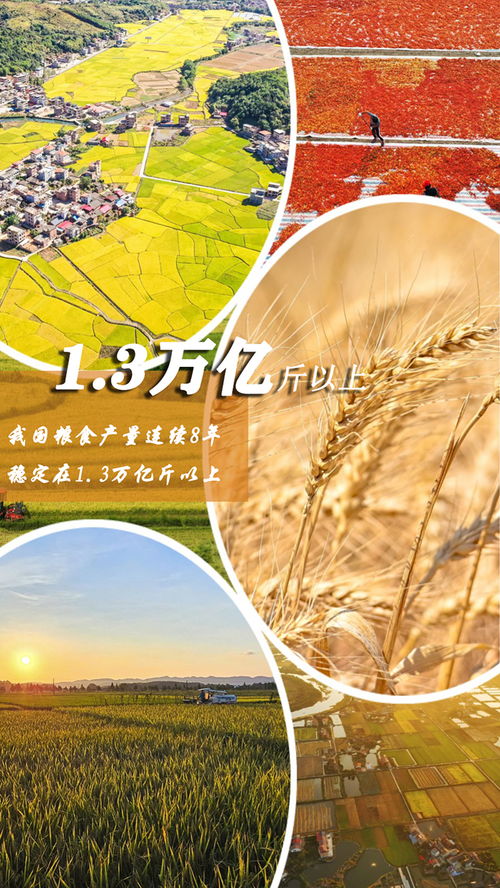 全球大国粮食安全排名揭秘，背后的故事与影响因素
