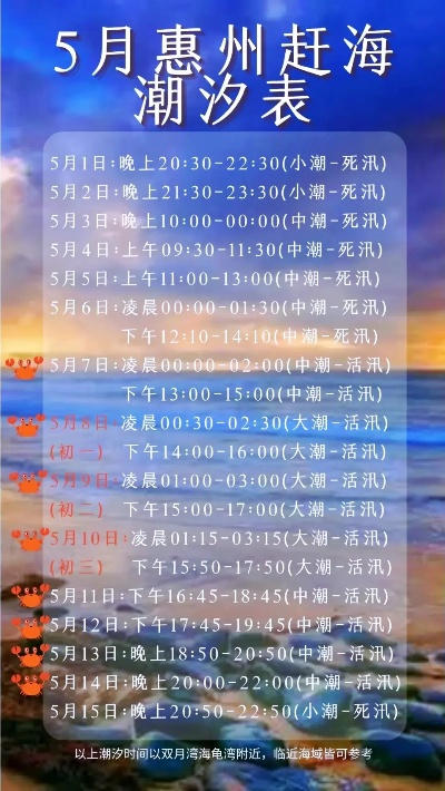 惠州潮汐赶海全攻略，最新指南助你轻松掌握赶海技巧！