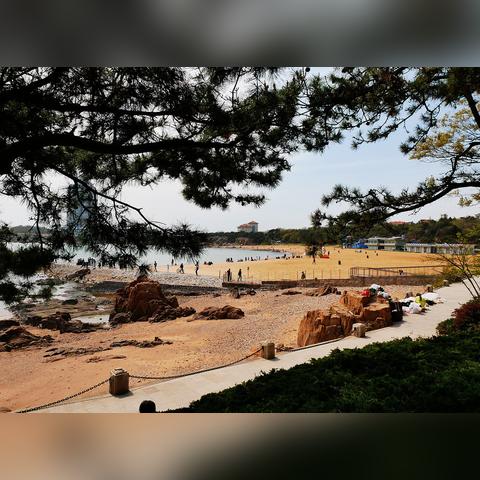青岛旅游攻略揭秘，海滨城市的魅力探索之旅