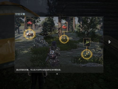 黎明觉醒最新70级攻略，征服游戏世界的终极指南