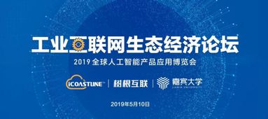 全球顶尖十五名校排名揭秘，探索卓越教育之巅