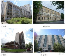 全球顶尖计算机大学，科技摇篮，未来探索之旅