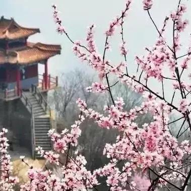 石家庄温泉建造公司排行榜揭晓，专业开发团队实力大比拼！