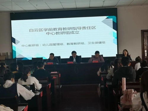 白云花市最新开放动态，今日盛况与深度解析