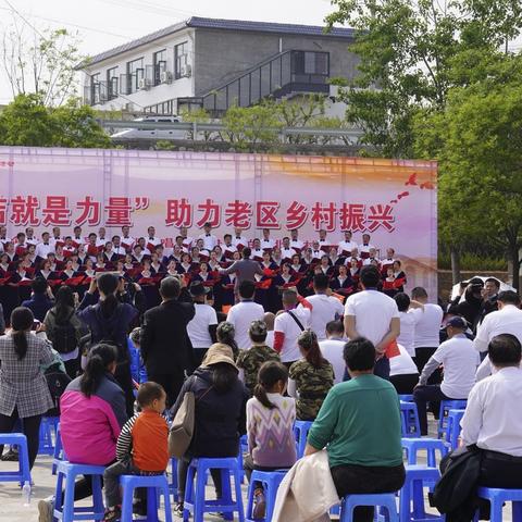 西柏坡区新闻聚焦，新时代的脉搏与变迁