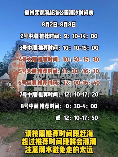 惠州龚寮湾赶海全攻略，最新时间表详解
