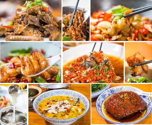「宁波大饭店TOP10榜单揭晓，品质美食之旅的不二之选」