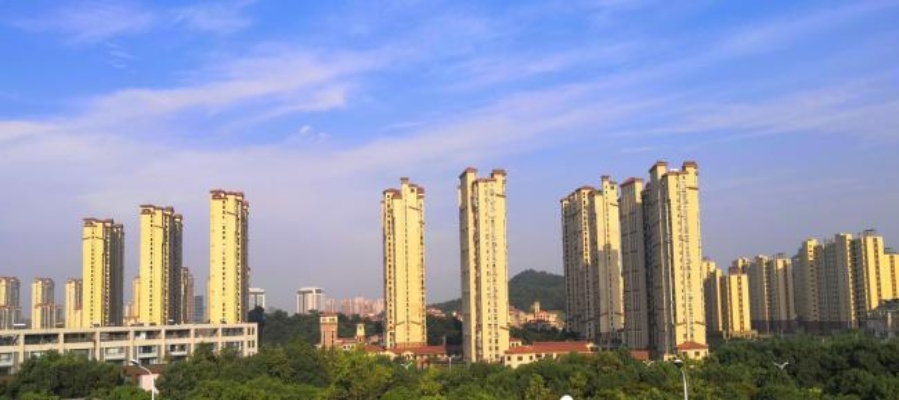 东郊街道，城市发展的活力引擎，新闻头条聚焦点