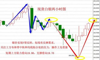 辽阳石油最新油价走势分析，今日油价表消息及应对建议！