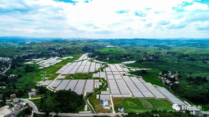 兴义黔西新闻速递，两地最新动态与发展探索