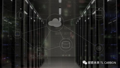 赵华友网络世界中的足迹探索，揭开他的神秘面纱