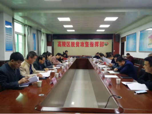 最新西安高陵区新闻概览，热点资讯一览无余