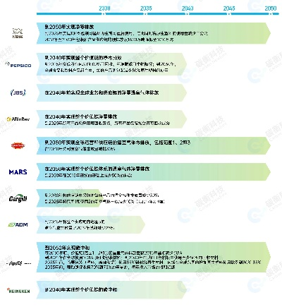 全球循环包材行业排名深度解析