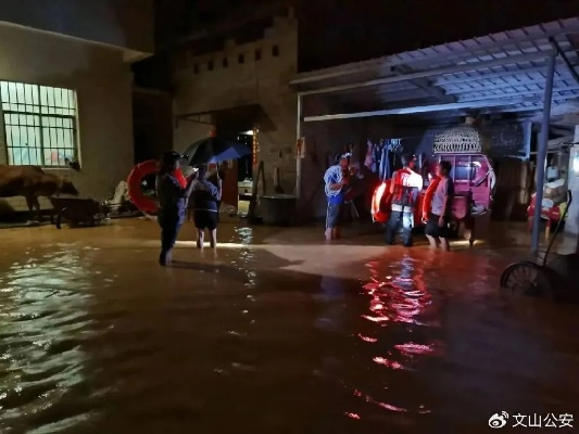 文山暴雨来袭，全力应对，保障安全新闻头条