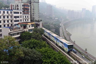 李子坝网红拍照路线攻略来袭！探访最新拍照点，轻松出片！